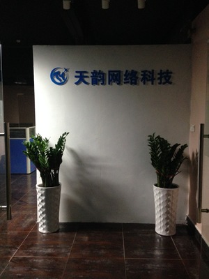 供应天韵网络科技-全网营销策划推广-广州市天韵网络科技